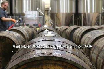 青島MALINA 城堡經(jīng)典解百納干紅葡萄酒 價格大概多少