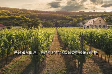茅臺鎮(zhèn)臺郎酒廠生產的30年53度醬香型賴茅酒價格