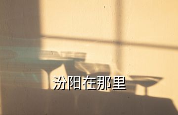 汾陽(yáng)在那里