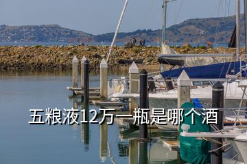 五糧液12萬一瓶是哪個酒