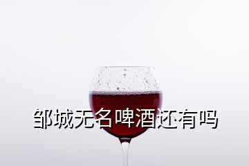 鄒城無(wú)名啤酒還有嗎