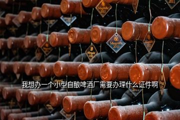 我想辦一個(gè)小型自釀啤酒廠需要辦理什么證件啊