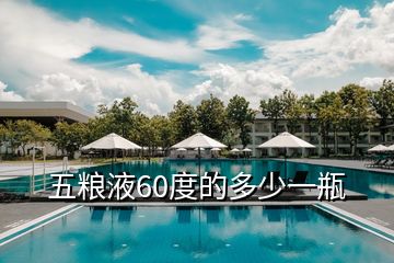 五糧液60度的多少一瓶