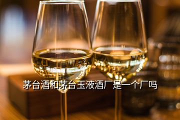 茅臺酒和茅臺玉液酒廠是一個廠嗎