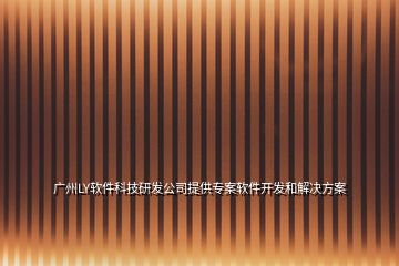 廣州LY軟件科技研發(fā)公司提供專案軟件開(kāi)發(fā)和解決方案