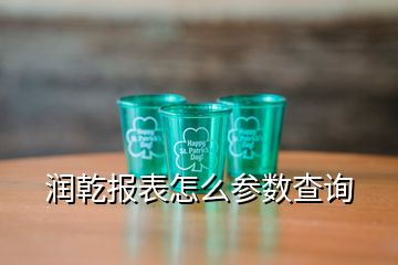 潤乾報表怎么參數(shù)查詢