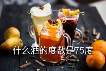 什么酒的度數(shù)是75度