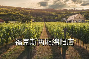 福克斯兩廂綿陽(yáng)店