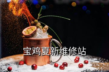 寶雞夏新維修站