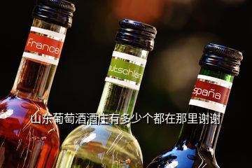 山東葡萄酒酒莊有多少個都在那里謝謝