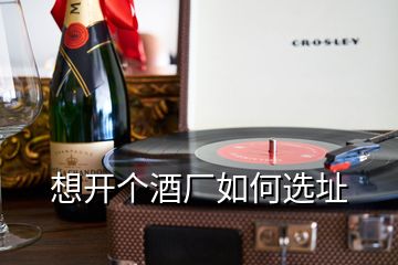 想開個酒廠如何選址