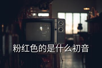 粉紅色的是什么初音