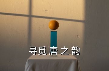 尋覓 唐 之 韻