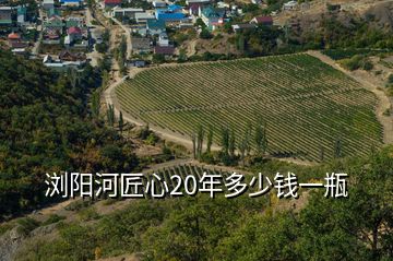 瀏陽河匠心20年多少錢一瓶