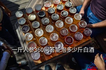 一斤人參360問(wèn)答能泡多少斤白酒