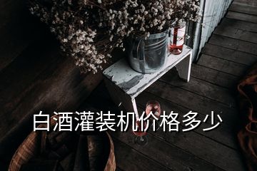 白酒灌裝機(jī)價(jià)格多少