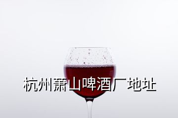 杭州蕭山啤酒廠地址