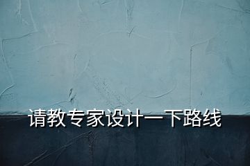 請教專家設(shè)計一下路線