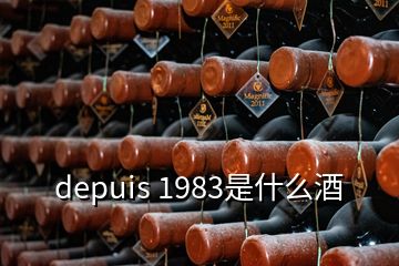 depuis 1983是什么酒