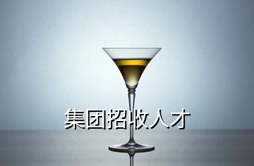 集團(tuán)招收人才