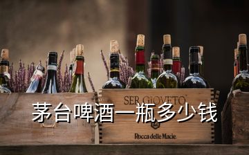 茅臺(tái)啤酒一瓶多少錢