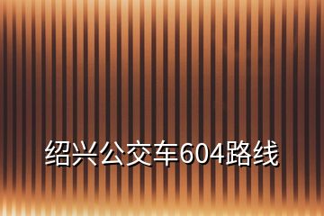 紹興公交車604路線