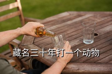 藏名三十年打一個(gè)動(dòng)物