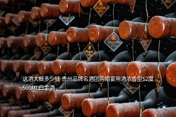 這酒大概多少錢 貴州品牌名酒團購婚宴用酒濃香型52度500ML白金酒