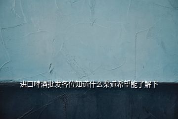 進口啤酒批發(fā)各位知道什么渠道希望能了解下