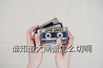 誰知道大閘蟹怎么切啊