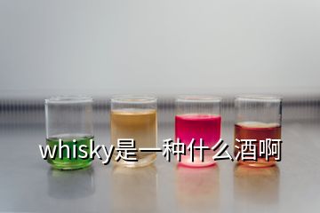 whisky是一種什么酒啊