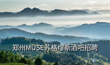 鄭州MUSE蘇格繆斯酒吧招聘