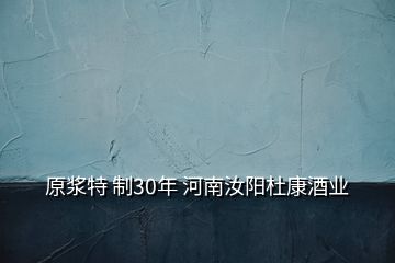 原漿特 制30年 河南汝陽杜康酒業(yè)