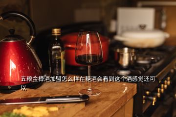 五糧金樽酒加盟怎么樣在糖酒會看到這個酒感覺還可以