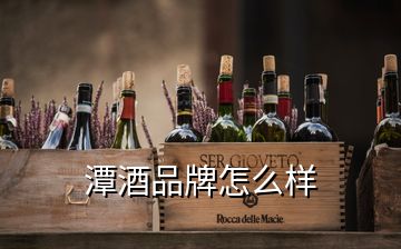 潭酒品牌怎么樣