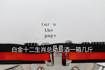 白金十二生肖總動員酒一箱幾斤