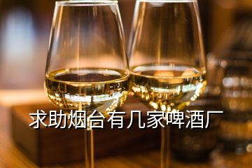 求助煙臺(tái)有幾家啤酒廠