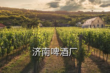 濟(jì)南啤酒廠