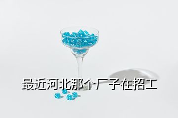 最近河北那個廠子在招工