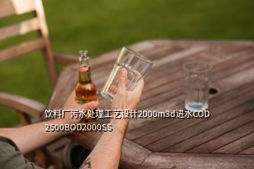 飲料廠(chǎng)污水處理工藝設(shè)計(jì)2000m3d進(jìn)水COD 2500BOD2000SS