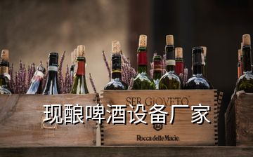 現(xiàn)釀啤酒設(shè)備廠家