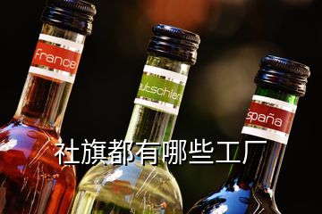 社旗都有哪些工廠