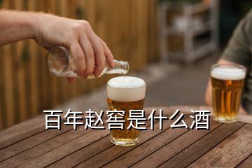 百年趙窖是什么酒