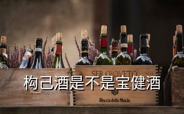 構己酒是不是寶健酒