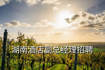 湖南酒店副總經理招聘