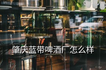 肇慶藍帶啤酒廠怎么樣