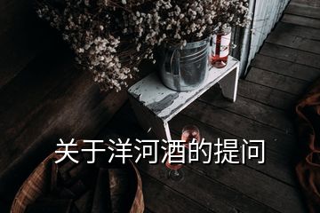 關(guān)于洋河酒的提問