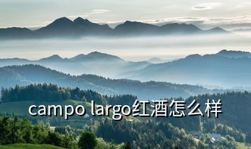 campo largo紅酒怎么樣