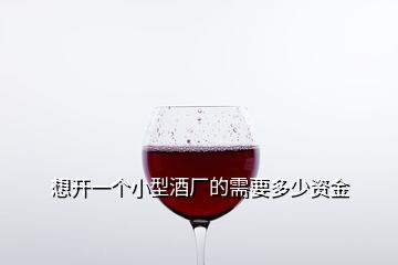 想開一個(gè)小型酒廠的需要多少資金