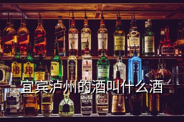 宜賓瀘州的酒叫什么酒